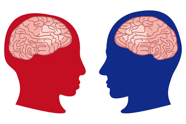 男性脳、女性脳の違いを踏まえての婚活提案